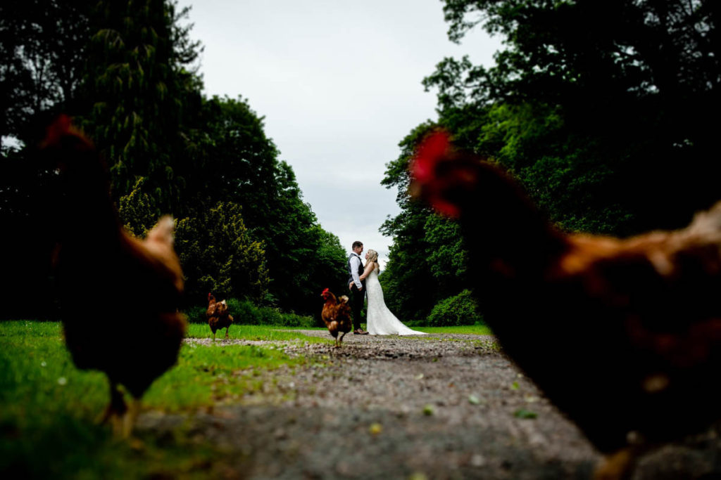 Bride and groom with chickens at High Barn Wedding - Edenhall Estate
