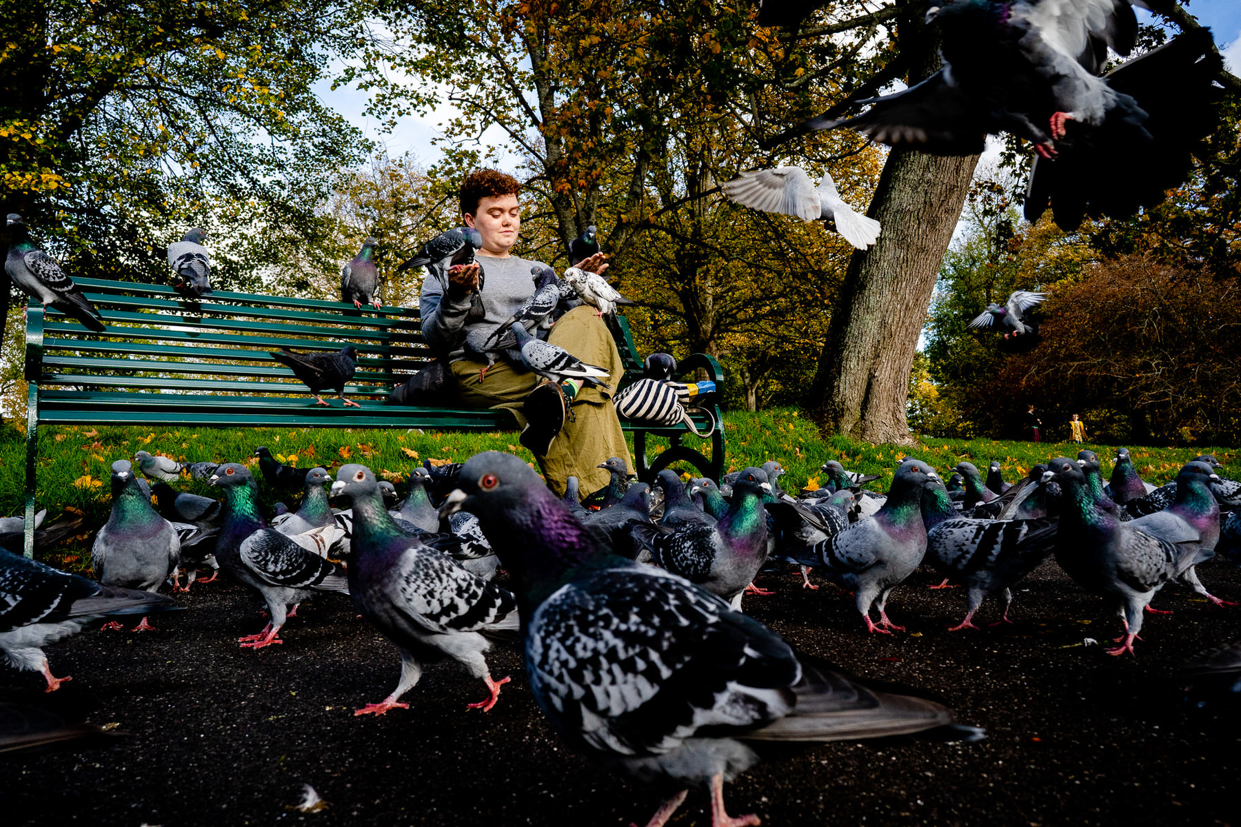 Low-angle shot of pigeons gathering around Mena’s feet while sitting on a park bench in St George’s Park Bristol